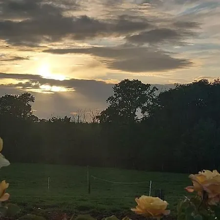 Daire Modern Countryside Killmallock Enniscorthy