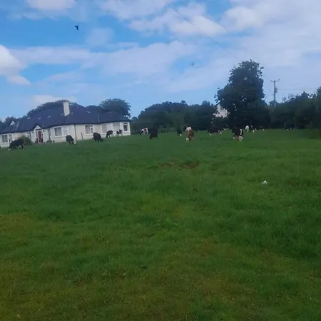 Modern Countryside Killmallock * Enniscorthy