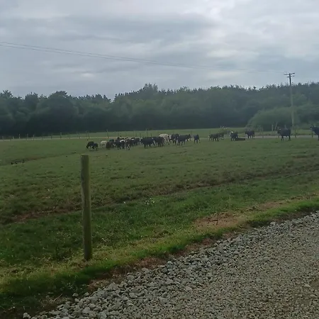 Modern Countryside Killmallock Διαμέρισμα *