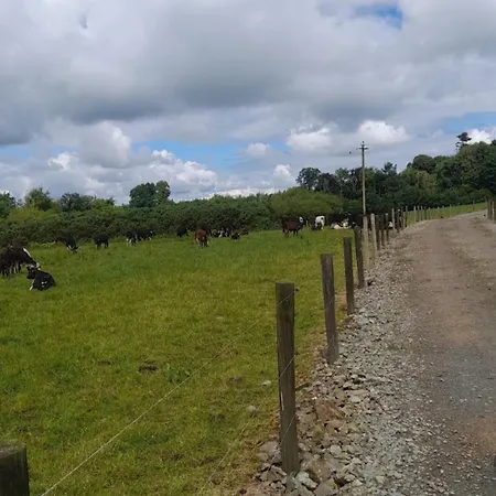 Modern Countryside Killmallock