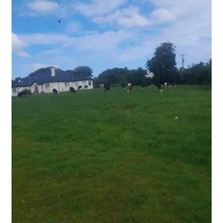 Modern Countryside Killmallock Daire