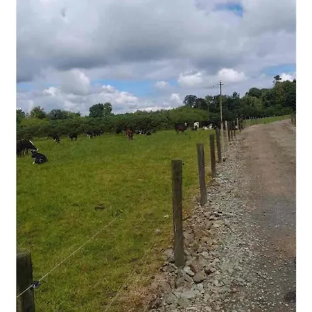 Modern Countryside Killmallock Daire *