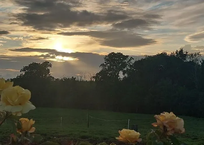 Apartamento Modern Countryside Killmallock Enniscorthy