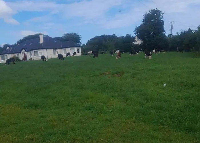 Modern Countryside Killmallock * Enniscorthy