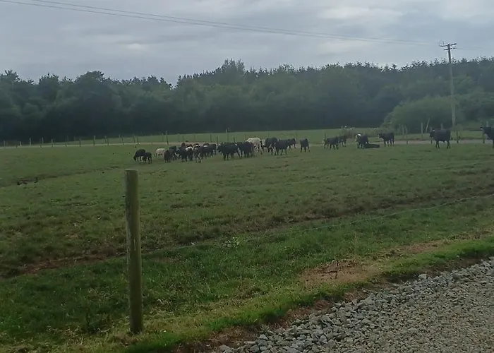 Modern Countryside Killmallock Apartament *