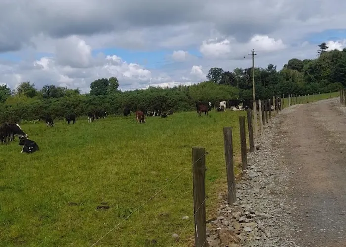 Modern Countryside Killmallock