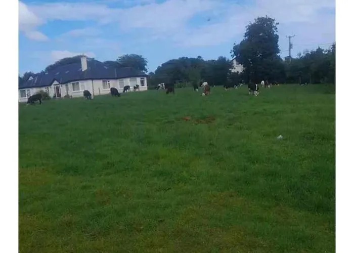 Modern Countryside Killmallock Apartament