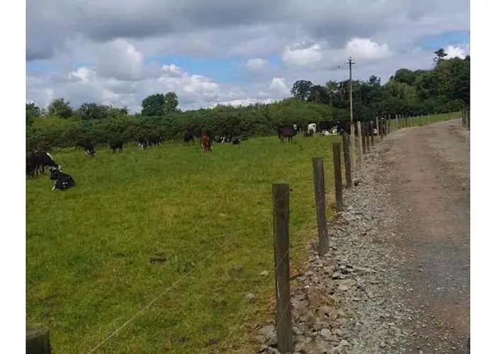 Modern Countryside Killmallock Appartement *